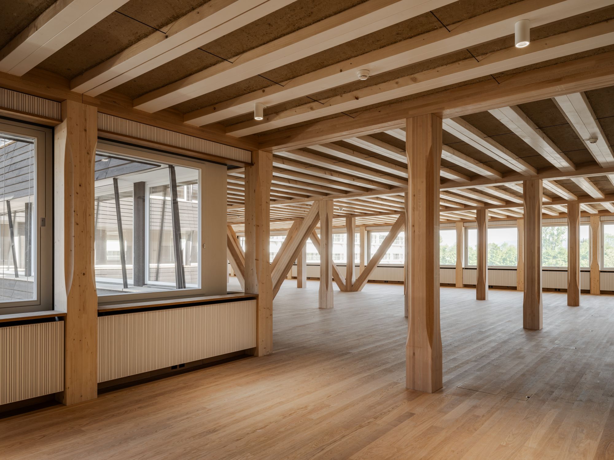 Hortus_Gallery_TimberStructureInterior